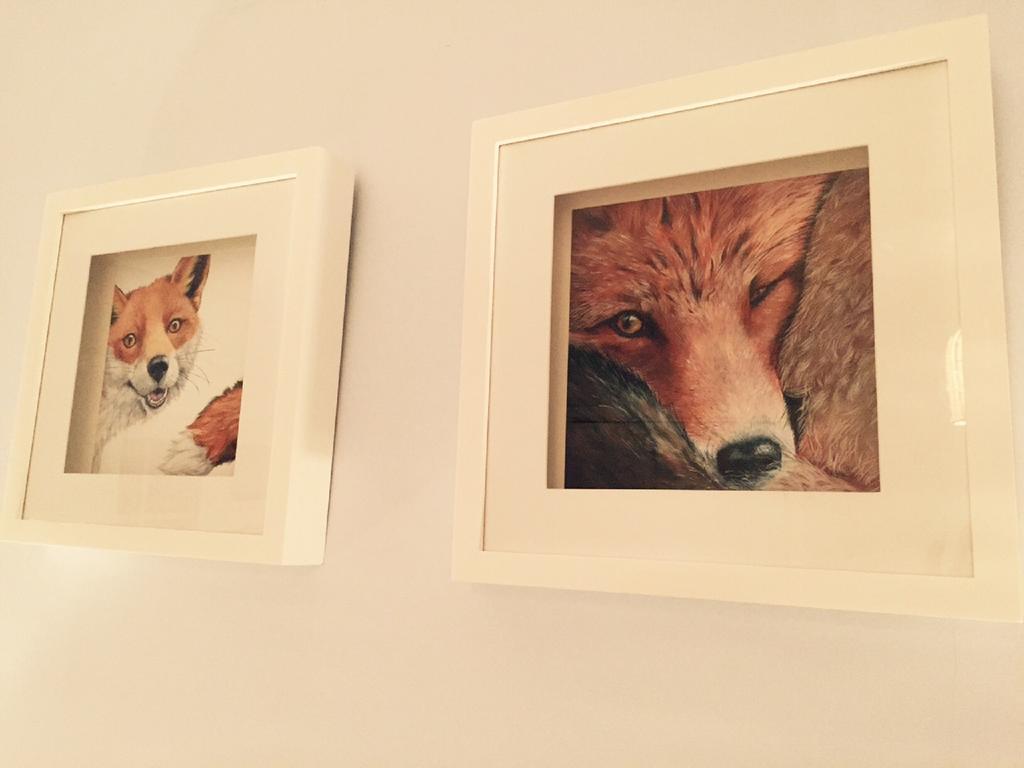 Illshaw Heath Farm Guest Lodge 하키 헬스 객실 사진